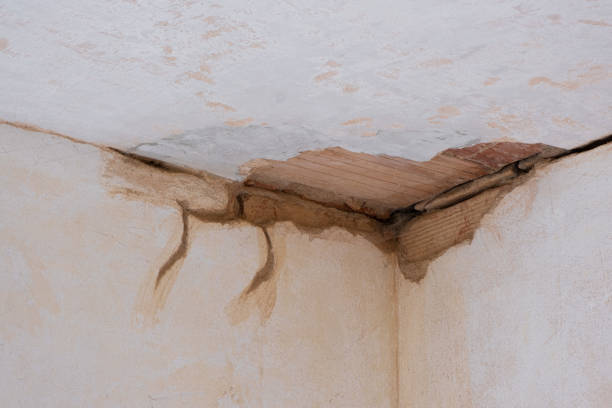 Best 24/7 water damage repair  in Fort Bliss, TX