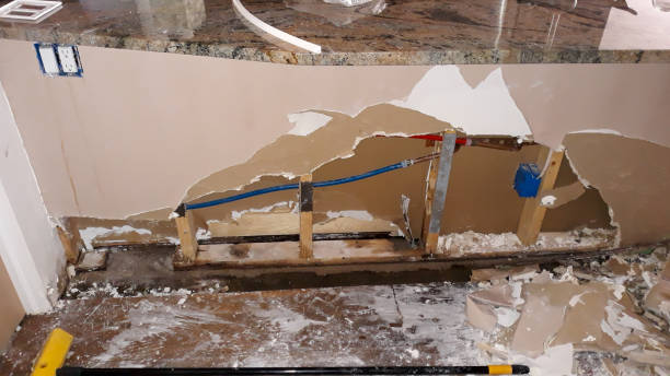 Best Water damage restoration mold remediation  in Fort Bliss, TX