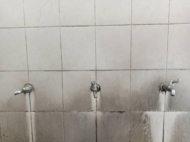 Best Carpet water damage restoration  in Fort Bliss, TX