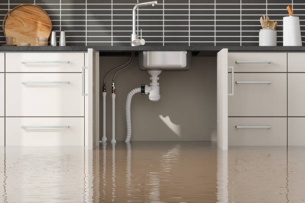 Best Water damage contractors near me  in Fort Bliss, TX