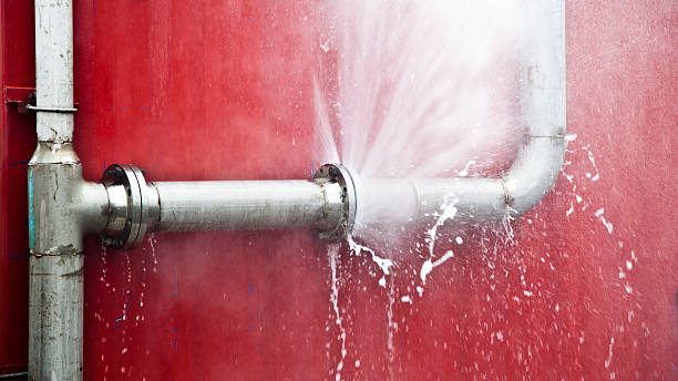 Best Basement water damage restoration  in Fort Bliss, TX
